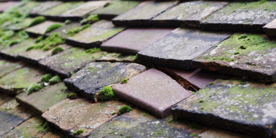 Shillington roof repair costs